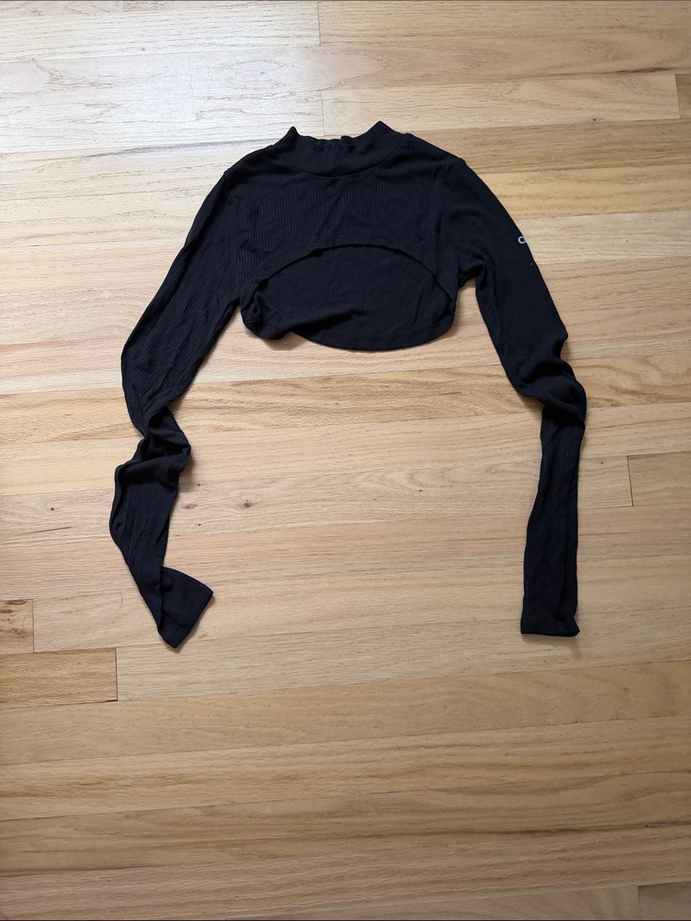 Alo long sleeve ribbed cropped top